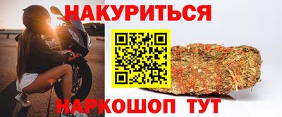 стафф Будённовск