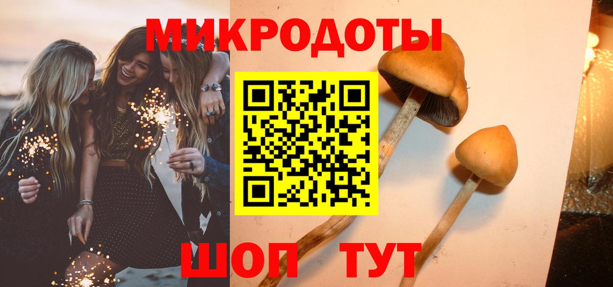 Моршанск  Галлюциногенные грибы MAGIC MUSHROOMS  Псилоцибиновые грибы мухоморы  купить наркотик  Вход с VPN 