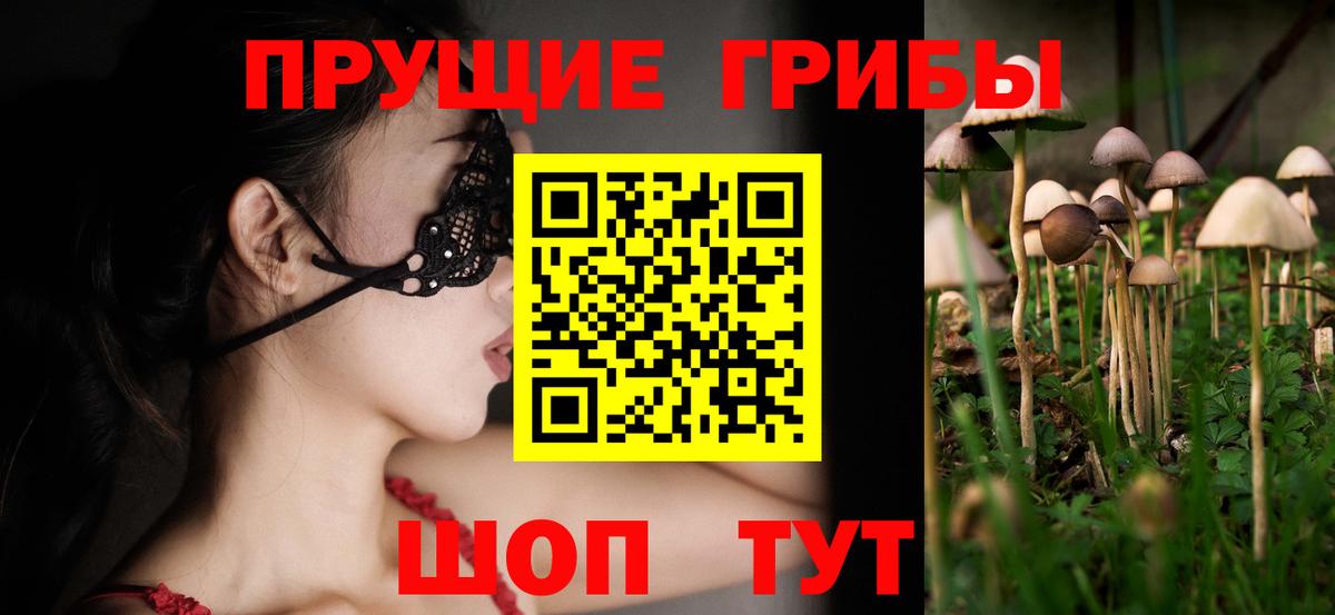 Галлюциногенные грибы Psilocybe Моршанск